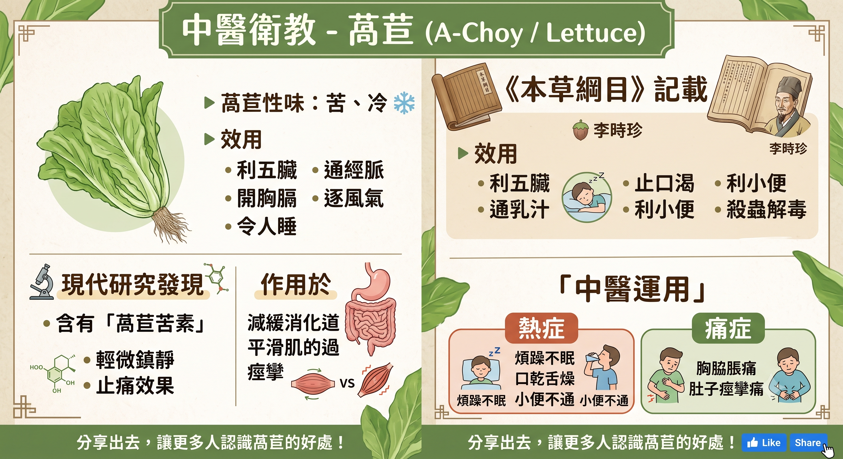 萵苣
